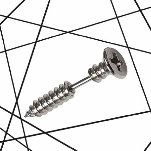 🔩Screwed Stainless Steel PhilipsHead Faux Gauge Piercing Earring Punk Aesthetic - Picture 6 of 7